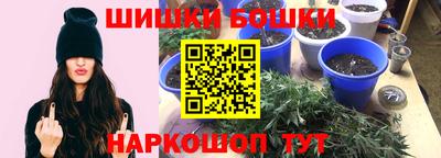 дмт Сланцы