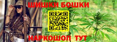 дмт Сланцы