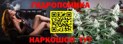 дмт Сланцы