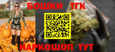 дмт Сланцы