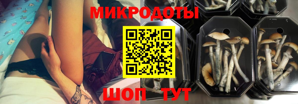 Галлюциногенные грибы прущие грибы Приморско-Ахтарск